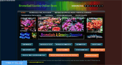 Desktop Screenshot of bromeliadexoticsonlinestore.com